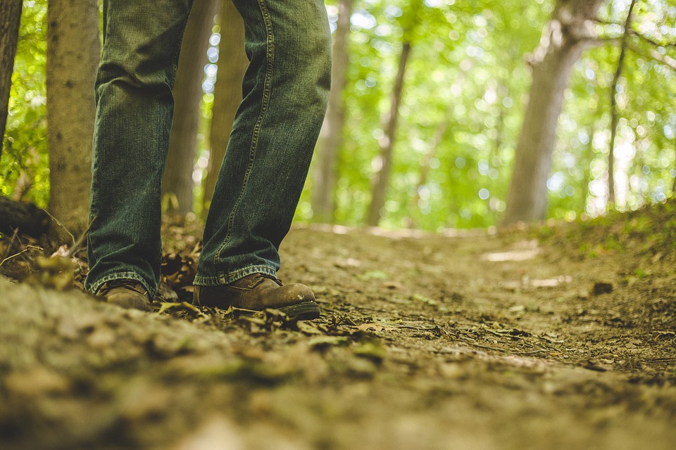 Person wearing denim jeans walking through woods on sunny day