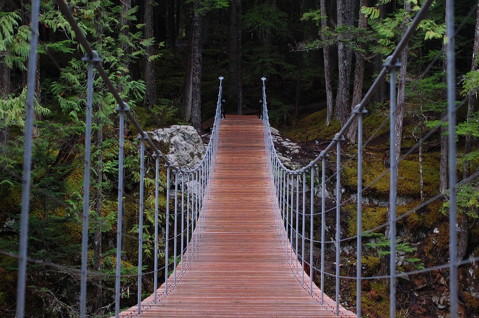 A drawbridge leading to a forest