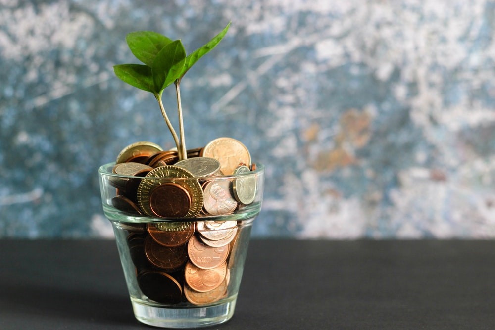 Sapling growing in glass filled with coins